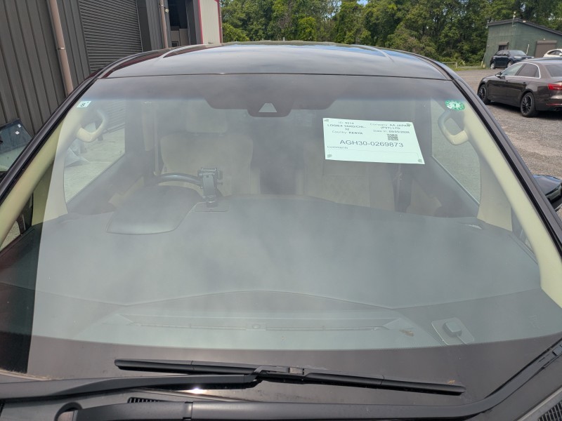 TOYOTA ALPHARD 2019/8