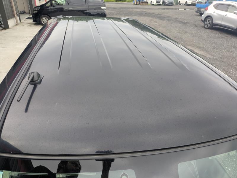 NISSAN DAYZ ROOX 2019/5