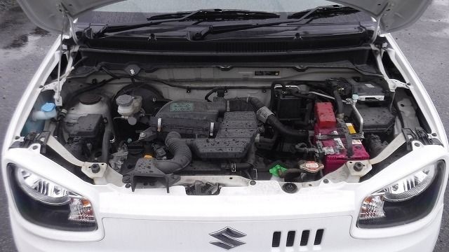 SUZUKI ALTO 2019/2