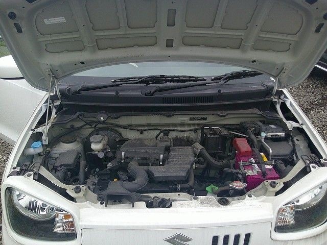 SUZUKI ALTO 2019/6