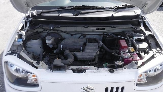 SUZUKI ALTO 2019/7