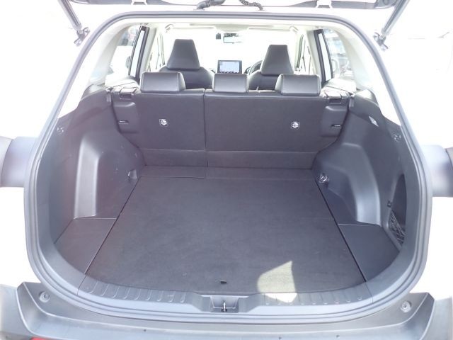TOYOTA RAV4 2019/9