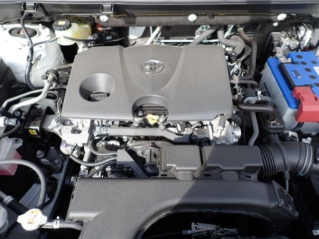 TOYOTA RAV4 2019/9