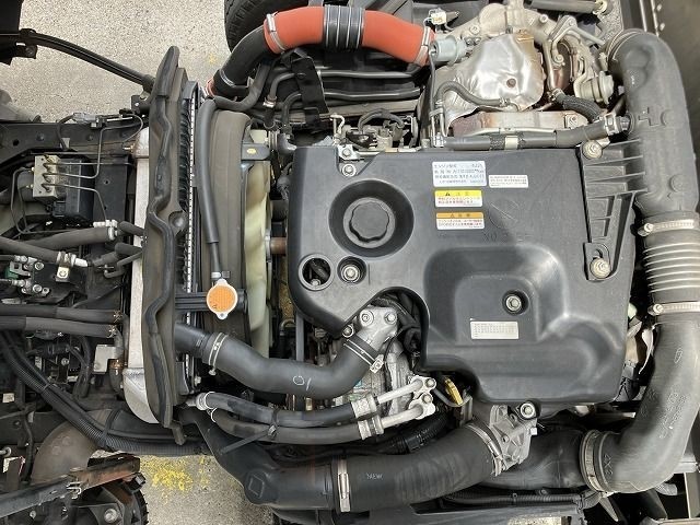 ISUZU ELF 2019/2