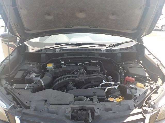 SUBARU FORESTER 2019/6