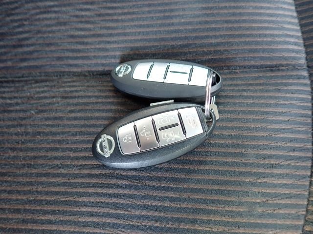 NISSAN ELGRAND 2019/1