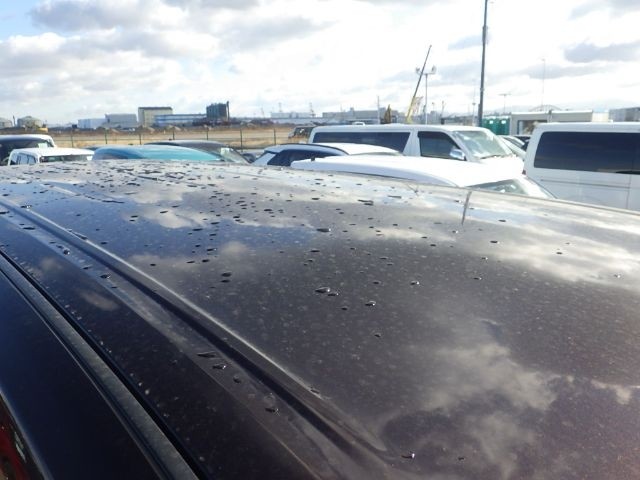 NISSAN ELGRAND 2019/6