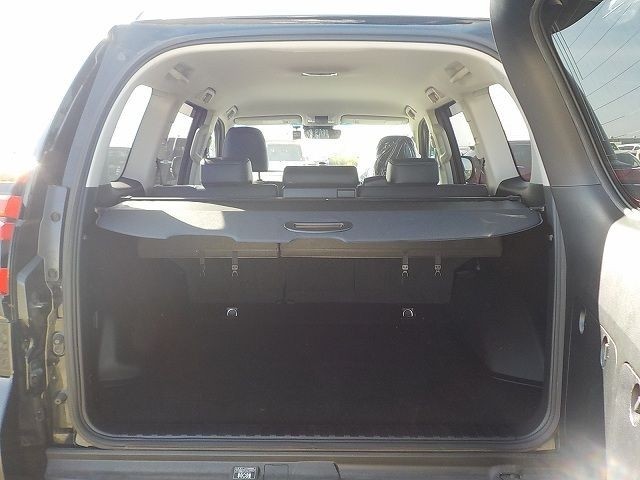 TOYOTA LAND CRUISER PRADO 2019/1
