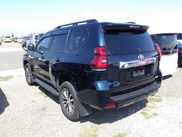 TOYOTA LAND CRUISER PRADO 2019/2
