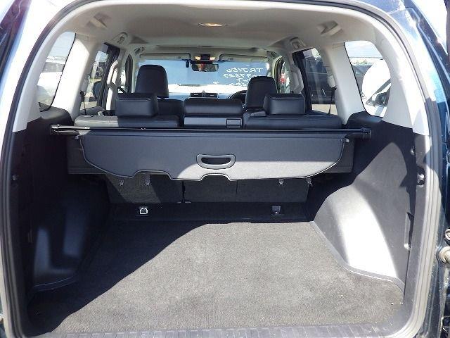 TOYOTA LAND CRUISER PRADO 2019/2