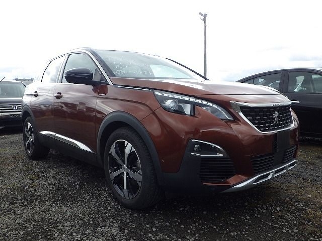 PEUGEOT 3008 2019/5
