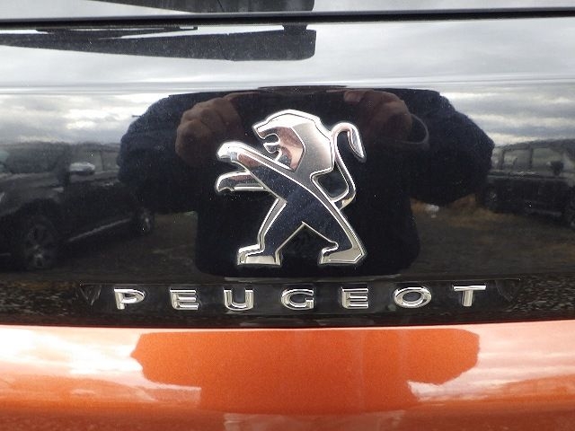 PEUGEOT 3008 2019/5