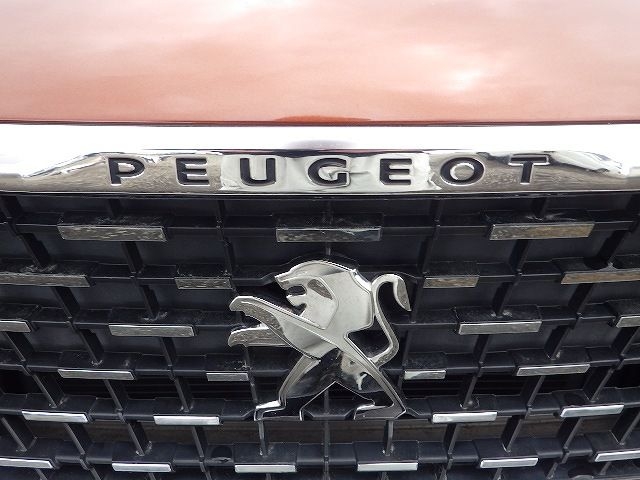 PEUGEOT 3008 2019/5