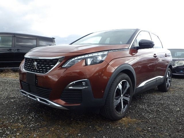 PEUGEOT 3008 2019/5