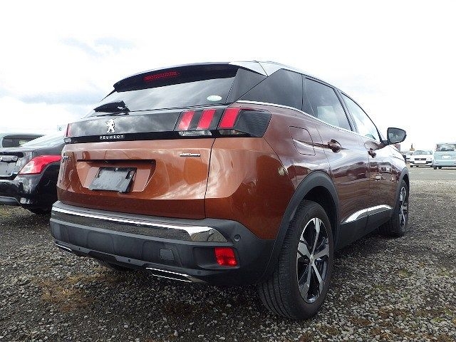 PEUGEOT 3008 2019/5
