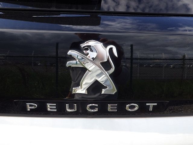 PEUGEOT 3008 2017/12
